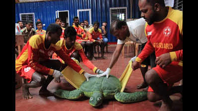 Drishti lifeguards given training to rescue and handle marine wildlife