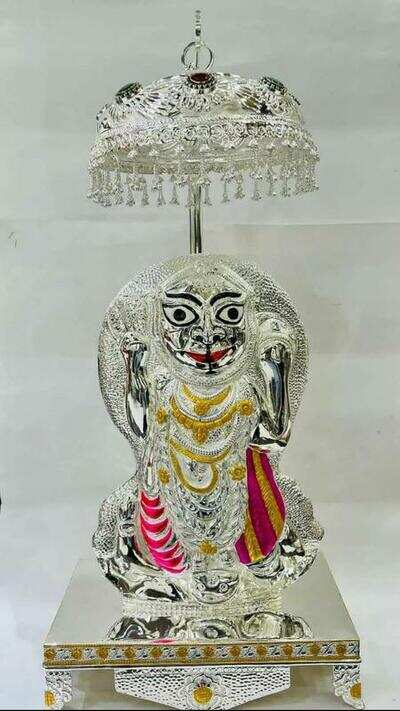 Grand Mahakali festival in Chandrapur from Saturday
