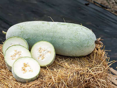 Try Safed Petha or Ash Gourd for weight loss