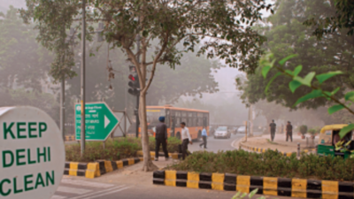 15 reasons why Delhi hopes for cleaner winter