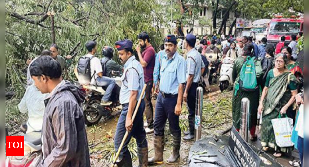 Pune: Short, intense rain spell fells trees, chokes roads, slows ...