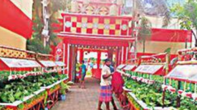 Kolkata: Salt Lake pandals go green, say no to plastic decoration