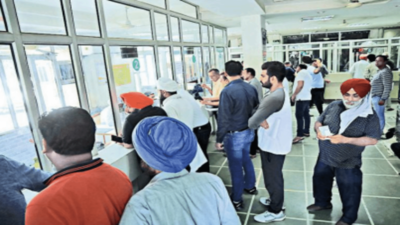Ludhiana MC collects 6 crore property tax on last day of rebate