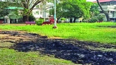Kochi: Central Park set on fire by miscreants