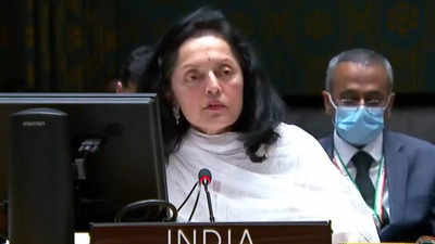 India abstains from resolution condemning referendums in Ukraine at UNSC