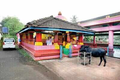 BAR-FREE VILLAGES OF GOA