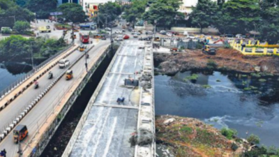 Chennai: Egmore-Chintadripet bridge nearly done