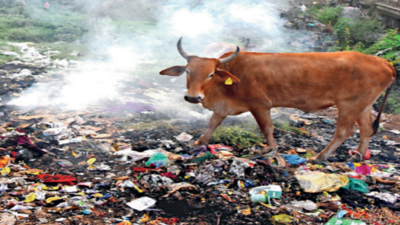 Swachh Survekshan: Pune's ranking drops to 9 from 5