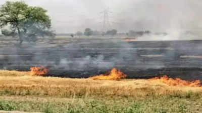 Of 45 new farm fires, 39 in Amritsar