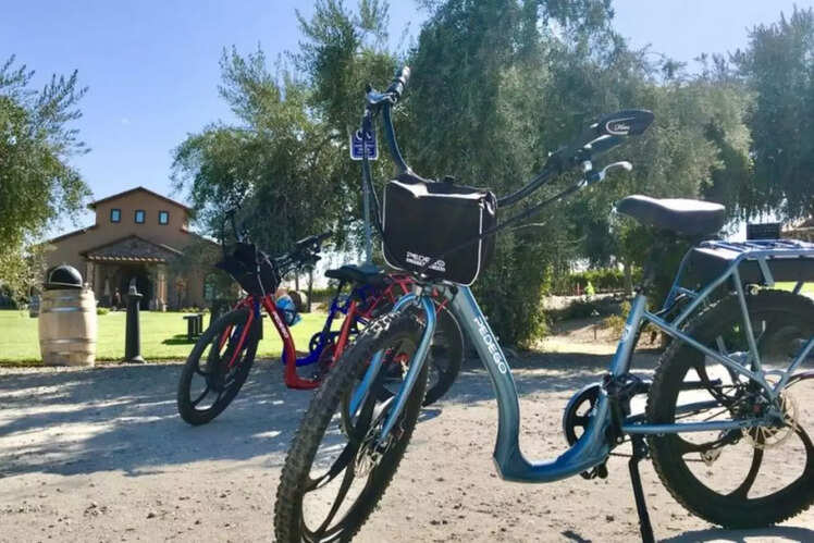 Pedego electric bike
