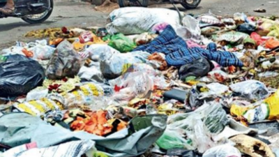 Below-par waste processing pulled down Bengaluru's Swachh status