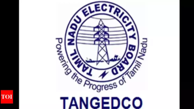 Tamil Nadu: Tangedco buys 100 MW to meet short-term demand in October