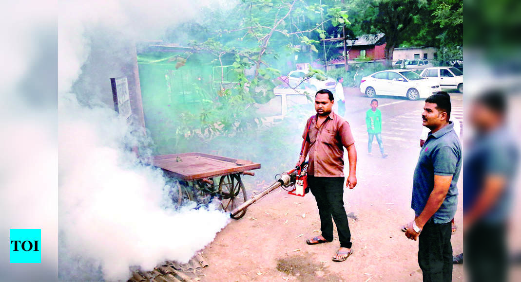 Nashik City Reports 139 Dengue Cases In September | Nashik News - Times ...