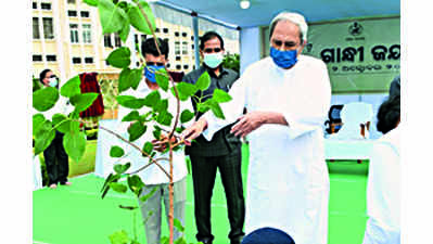 CM plants peepal tree on Gandhi Jayanti