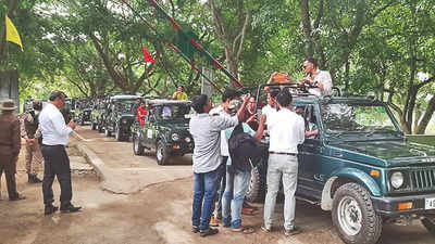 Assam: Kaziranga reopens to record tourist footfall