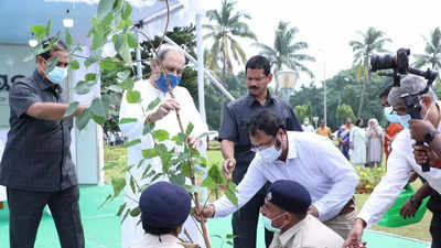 Odisha CM Naveen Patnaik plants peepal plant on Gandhi Jayanti