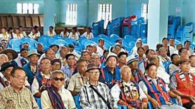 Percentage of aged to be constant: Nagaland