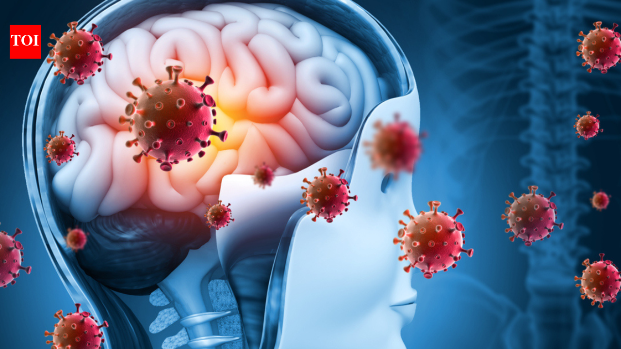 How COVID affects brain: 10 key points on the damaging effects of the ...