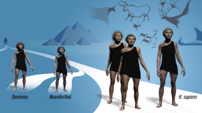 Svante Paabo awarded Nobel Prize in medicine 'for his discoveries concerning human evolution'