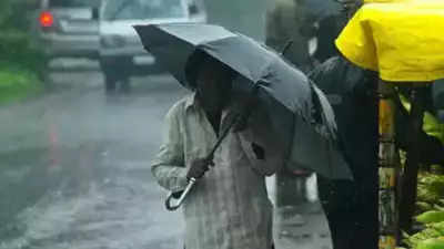Rainfall in Andhra Pradesh may dampen Dussehra festive spirit