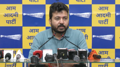 AAP to burn effigies of Ravan made of garbage at 3,500 locations in Delhi on Tuesday