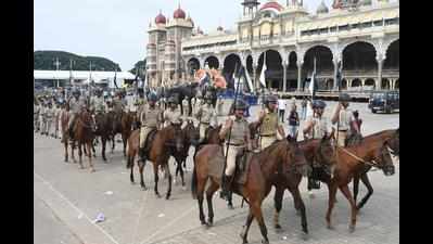 Nine elephants to participate in Dasara procession