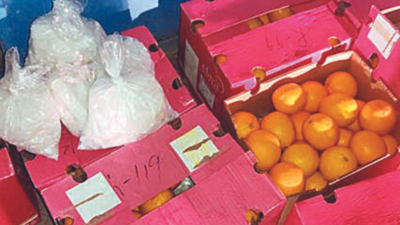 Mumbai: Importer held in Rs 1,426 crore drug smuggling case