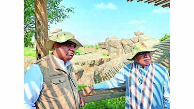 6k acres earmarked in city for Aravali zoo safari park