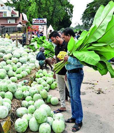 Jumbos acquit themselves with aplomb during rehearsal for Dasara finale