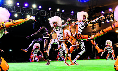 Jumbos acquit themselves with aplomb during rehearsal for Dasara finale