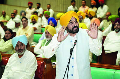 Mann govt wins trust vote in Punjab assembly