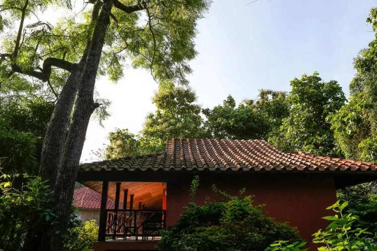 Taj Corbett Resort And Spa