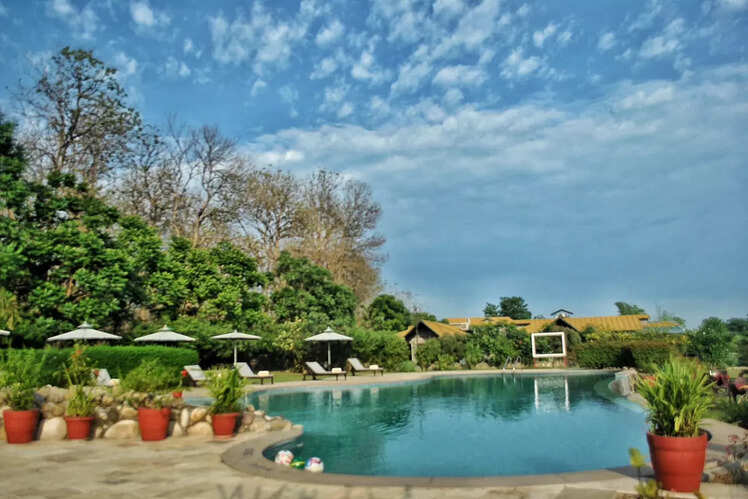 Best wildlife resorts near Jim Corbett National Park