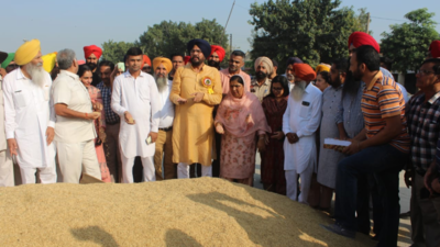To promote moong and maize crops, processing and dryer plants to come up in Jagraon: Punjab agriculture minister