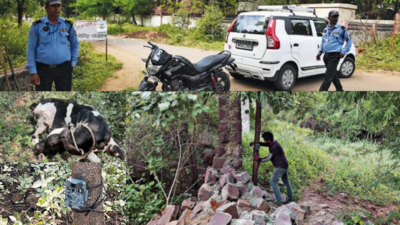 Tiger alarm at MANIT Bhopal; cage & camera traps set up