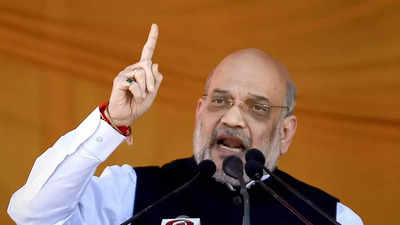 Amit Shah pauses speech during rally after hearing 'Azaan' from nearby mosque