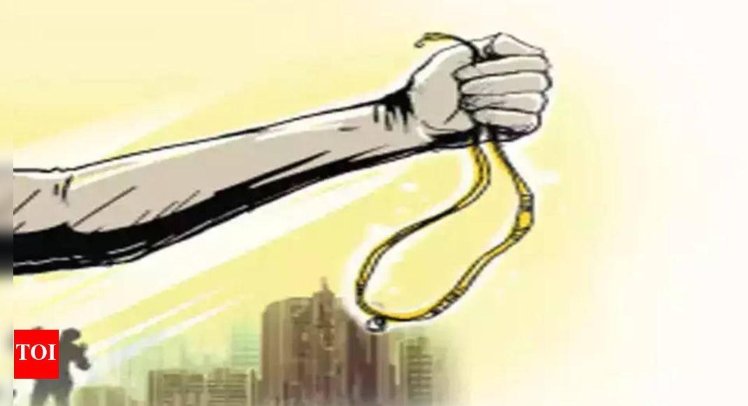 Gurugram: 4 ask car driver to stop, snatch gold chain, flee | Gurgaon ...