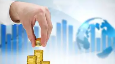 20 firms, including two from US, to invest in Goa
