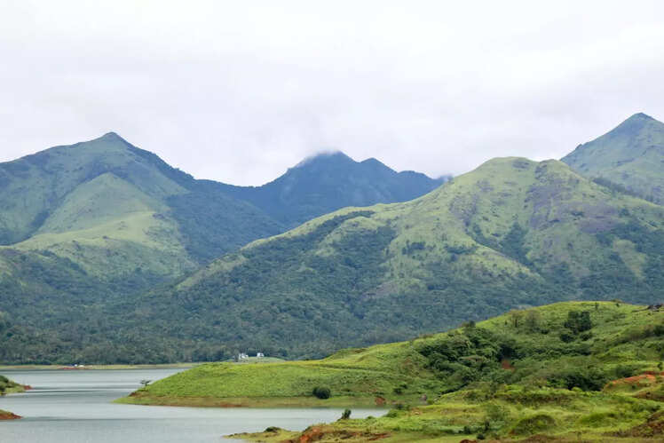 Wayanad