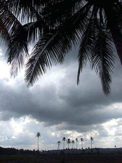 State receives light rain on Thu, may continue till Oct 10