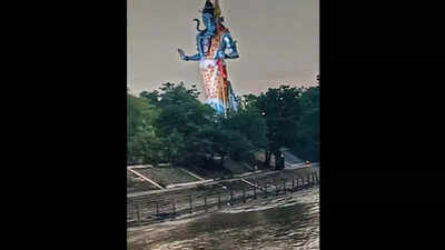 Two UP boys drown in Haridwar during Durga idol immersion