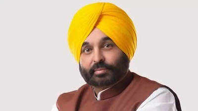 Punjab CM Bhagwant Mann seeks support for straw management, farmers up relief demand to Rs 6,000/acre