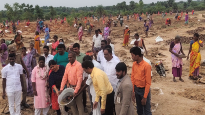 Ranipet district creates world record by planting more than 52 lakh palmyra seeds