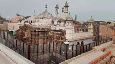 Gyanvapi-Shringar Gauri case: 'Is shivling a case property?' Kashi court asks plaintiffs; next hearing On Oct 11