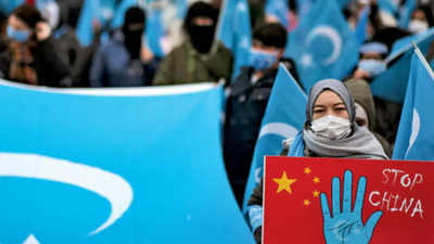 Human rights must be respected: India after skipping Xinjiang vote ...