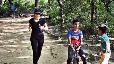 Walk in the woods: Sanjay Van calls nature lovers with workshops, tree census & more