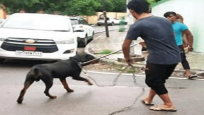 Kanpur: Rottweiler bites student waiting for school bus