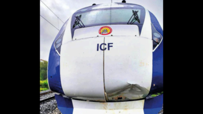 After crashing into buffaloes on Thursday, Vande Bharat Express hits cow on Friday