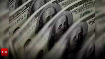 Thane: Man pays Rs 3 lakh for dollars, gets paper bundle