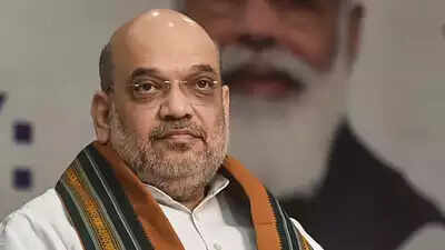 'Bharat jodo': PM's name will be etched in golden letters for peace, development in northeast India, says Amit Shah